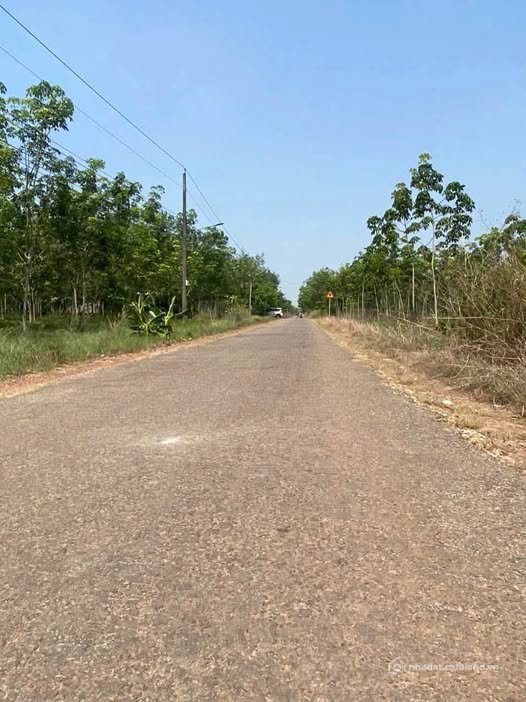 Bán đất thổ cư: Đất tiềm năng tại Đức Hòa, Long An, vị thế đắc địa