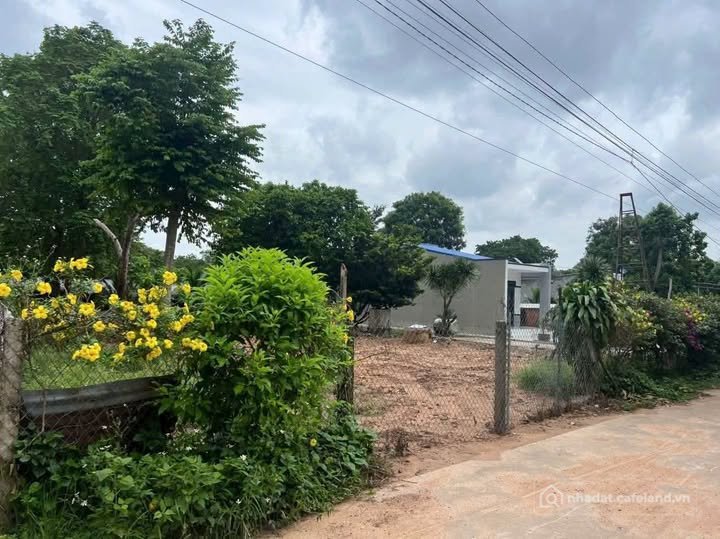 Bán đất thổ cư: Bán đất đẹp 245m2 đối diện Núi Chứa Chan, giá 850 triệu