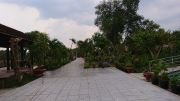 Cho thuê 0,5 hecta (5000m2) đất sân vườn đã có cơ sở hạ tầng hoàn chỉnh giữa trung tâm TP. Tây Ninh