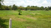 Nợ tiền mua nhà cần sang lại 500m đất vườn MT Cây Trôm, Thái Mỹ Giá 900tr