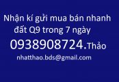 Chuyên mua bán nhanh đất phường Phước Long B quận 9, giá tốt cập nhật