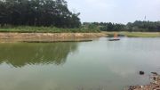 Dự án đất nền duy nhất tại Hòa Lạc View Hồ tự nhiên giá chỉ từ 8,5 triệu/m2.