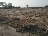 [CỰC SỐC]Cần bán gấp các lô đất nền cách ngã tư Hồ Tràm 02km xã Phước Thuận Bà Rịa-Vũng Tàu.