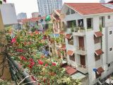 Em đẹp, em có quyền - phân lô, góc 3 mặt thoáng khu Văn Quán 45m2, MT 11m, 6.7 tỷ. LH 0377982282