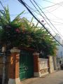 Bán nhà tuyệt đẹp đường Trần Khắc Chân, Quận  1, 10.5x19, giá chỉ 40 tỷ