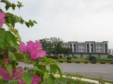 Mua đất tặng nhà 3 tầng, giá yêu thương tại KĐT chuẩn mực Singapore Belhomes - Vsip - Bắc Ninh