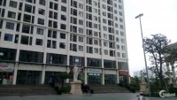 Chủ nhà cần bán gấp căn hộ 91m2, toà A7, tại chung cư An Bình City