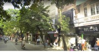 Gấp! bán nhà mặt phố Hàng Bông, quận Hoàn Kiếm S231m2, Vỉa hè, KD đỉnh, giá chỉ 57 tỷ