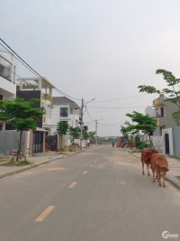 Khổ 100m2 - mặt tiền 5m KQH Bàu Vá - Vịt Thuận - hướng Đông Nam. Đường 19m5