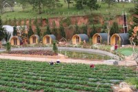 Sở hữu 5000m2 đất trang trại tại Lâm Đồng FarmStay chỉ với 370 triệu