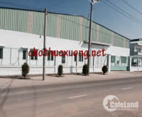 Chính chủ cho thuê nhà xưởng mới xây tại Hà Trung Thanh Hóa diện tích 10.000m2 g