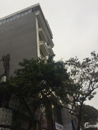 Bán nhà MP Nguyễn Khang 98m2 x 8 tầng, mt 4.33m, kinh doanh tốt
