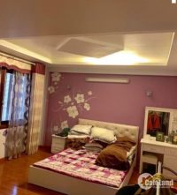 Hiếm Bán nhà Minh Khai phân lô ô tô qua 44m2 MT 4m chỉ 4.5 tỷ view