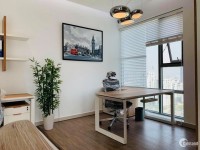 Cho thuê căn hộ Officetel chức năng nhà ở kết hợp văn phòng tại Phú Mỹ Hưng Q7