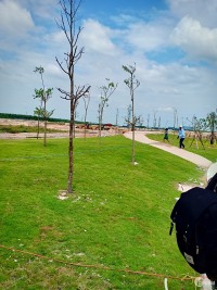 dự án DRAGON CITY BÀU BÀNG ngay trung tâm hành chính huyện Bàu Bàng, Bình Dương