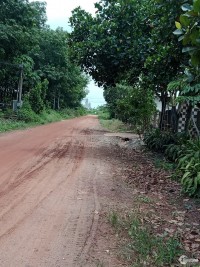 Cần bán lô đất sổ hồng siêng thuộc Ấp 2 Xã Minh Hưng huyện chơn thành bình phước