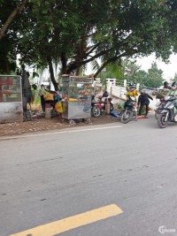 Thanh lý nhanh lô đất 80m2 nằm trên đường An Hạ, Phạm Văn Hai, Bình Chánh.