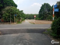 Bán miếng đất đường Bùi Thị Điệt, sát UBND xã Phạm Văn Cội, shr,250m2 giá 1.6 tỷ