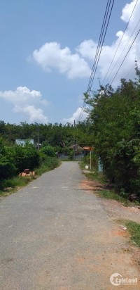 Bán đất GIÁ RẺ mặt tiền đường nhựa Xã Phú Hoà Đông Củ Chi