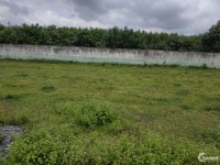 Chính chủ bán thửa đất 50/175 Long Phước, gần sân bay Long Thành, Vingroup, 545m