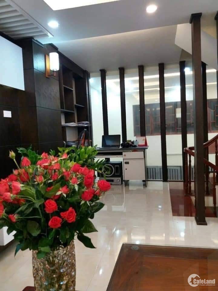 Bán nhà Phố Nguyên Hồng, Kinh doanh, Ô tô tránh, Thang máy, 70m2, giá 19.5 tỷ.