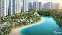 Giới thiệu và tư vấn dự án Vinhomes Smart City