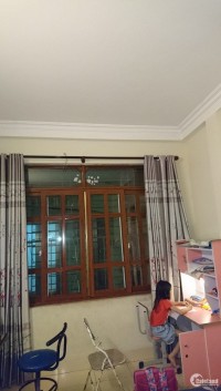 Bán Gấp Nhà Phố Bạch Mai, Hai Bà Trưng 45m2, mt 4.8m 3.5 tỷ