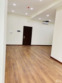 Cho thuê căn hộ 53m2, 1pn tại The Sun Avenue giá 10tr/tháng