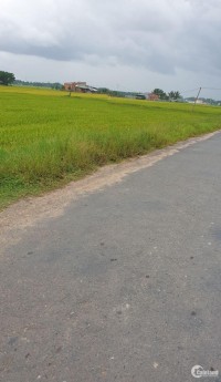 Đất chính chủ 911.4m2 mặt tiền đường Tiên Thuận, Bến Cầu, Tây Ninh chỉ 1.3tr/m2