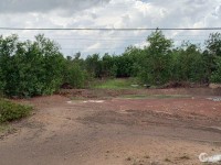 Cần bán mảnh đất mặt tiền đường Xuyên Á- Tây Ninh gần cửa khẩu Mộc Bài