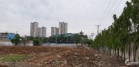 Cần bán lô đất mặt tiền đường Trần Đại Nghĩa-Bình Chánh, gần vòng xoay An Lạc