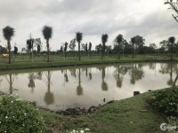 Dự án biệt thự vườn tại Long Phước quận 9