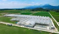 Đầu tư nông trại sinh thái Bình Châu-Hồ Tràm chỉ 1,7 triệu/m2