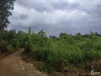 Gía CỰC TỐT bán gấp 1 mẫu đất bằng phẳng xã Bàu Cạn, Long Thành chỉ 500 ngàn/m2.