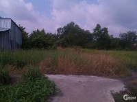 Cho thuê đất nông nghiệp tại xã Trường Bình, huyện Cần Giuộc, giá đầu tư