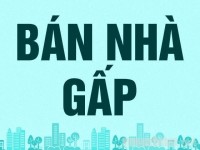 CHÍNH CHỦ BÁN GẤP CĂN NHÀ CẤP 4 VÀ LÔ ĐẤT 300M2 GIÁ 320 TRIỆU