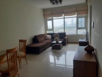 Cho thuê căn hộ SG Pearl 2pn view đẹp, giá rẻ