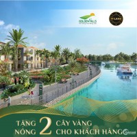 Cơ Hội Khủng Khi Đặt Mua Thành Công Dư Án Đất Ven Biển Golden Hills