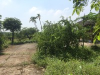 Cần bán vài lô đất ở 1 sẹc Quách Thị Trang, Nhơn Trạch