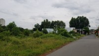 Bán đất Sào – Mẫu tại Xã Long Phước – Long Thành – Đồng Nai 1000m2 = 500tr
