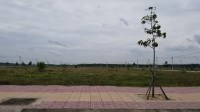 Bán đất giá rẻ tại Xã Long Phước – Sân Bay Long Thành – 5tỷ 8000m2 Đường Nhựa