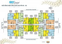 Chính chủ cần bán căn 99m dự án Skycentral.Gía 2.4 tỷ
