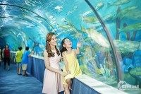 Hội An golden sea -  địa điểm đầu tư lưu trú đẳng cấp