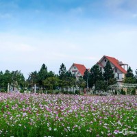 Bán Biệt Thự The Phoenix Garden_ Cơ hội đầu tư Vàng