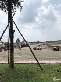 Bán đất nền dự án tại Huyện Bàu Bàng