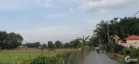Chính chủ bán ra lô đất lớn tại xã Thái Mỹ, Huyện Củ Chi, tp HCM