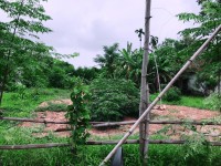 Bán gấp đất ở Thủy Phương – ngay cây xăng Thanh Lam