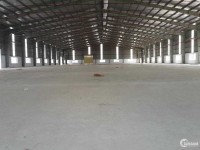 Cho thuê kho tại Bắc Ninh, Từ Sơn, KCN Tân Hồng 2010m2 (Có Ảnh)