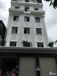 Cho thuê căn hộ mới 100%  tại 56 Lê Văn Phan, P. Phú Thọ Hòa, Q. Tân Phú,  HCM