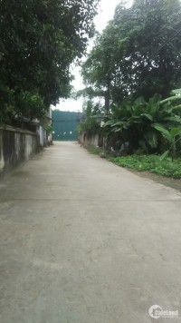 Bán đất thôn Hành Lạc, thị trấn Như Quỳnh, Văn Lâm, Hưng Yên, 50m2